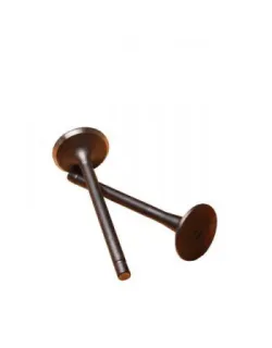 سوپاپ اصلی فیات او ام